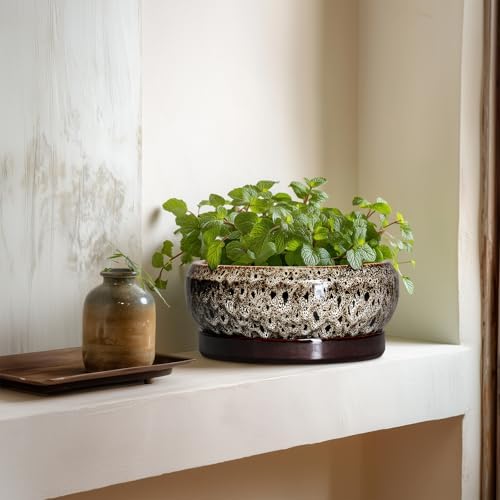 Bonsai Pots - 8 Inch Ceramic Pots for Plants with Drainage Hole and Saucer, Round Succulent Pot, Bonsai Planters Indoor Outdoor, Shallow Planter Bowl, Patio Decor, Gardening Gift, White - Image 6