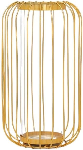 Glass Propagation Station with Metal Frame,Test Tube Vase for Hydroponic Plant, Metal Flower Vase Test Tube Pot Decorative Bottles Centerpieces for Wedding Home Décor (Gold Large 26CM) by Unknown