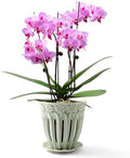 SUADEN 5" Ceramic Orchid Pots with Holes, Drainage and Separate Saucer by SUADEN