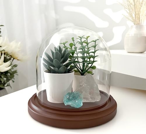 Plymor 5.5 inch x 5.5 inch Glass Display Dome Cloche (Dark Wood Base) - Image 2