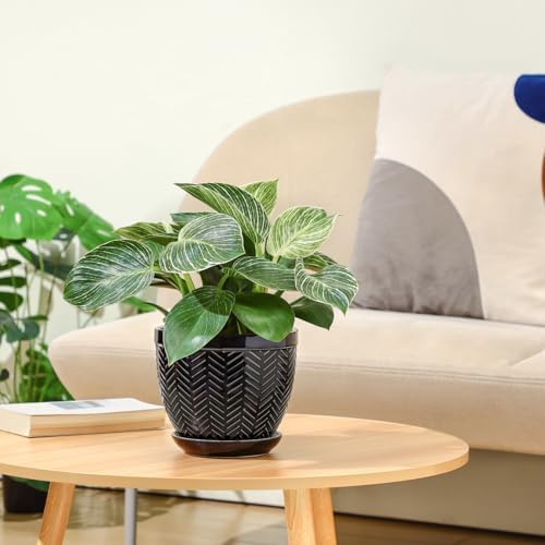 Sureasy 6.5 Inch Ceramic Plant Pots, Embossed Decorative Planters with Drainage Hole and Saucer, Modern Flower Pots for Indoor Plants, Set of 2, Black - Image 2