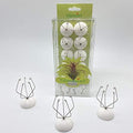 10 Pack Wall Mount Air Plant Holder (Adhesive Tape,Stainless Steel Tillandsia Air Plant Planter) A Unique Set of Air Plant Containers for Creating Tillandsias Art Display On Wall (Small) by Tillandsiart