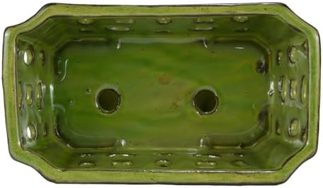 W&W Orchid Pot with Holes and Saucer for Repotting, YellowGreen, 9.7 Inch - Image 5
