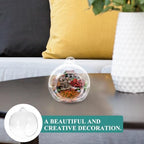 12pcs Hanging Glass Terrarium Globe Micro Landscape Air Plant Holder for Indoor Decoration Hydroponic Planter for Succulents and Home - Image 4