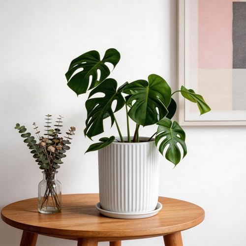 Deep Dream 8 Inch Ceramic Pots for Plants, Heavy Plant Pot for Indoor Outdoor Plants, Large Plant Pot with Drainage Hole and Saucer, Modern Tall Flower Pot, Gifts for Plant Lovers, White - Image 4