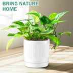 Vanavazon 6 Inch Glazed Ceramic Plant Pots with Drainage Hole and Saucer, Cylinder Indoor Planters for All House Plants, Modern Decor for Home & Office, Set of 2 (White) - Image 2