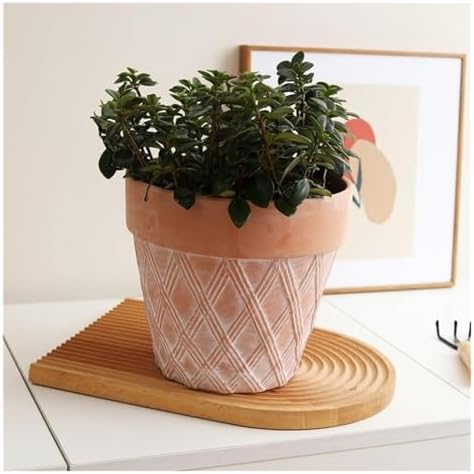Flower pots 2Pcs Red Terracotta Planter Vintage Cameo Outdoor Indoor(Without Tray) - Image 2