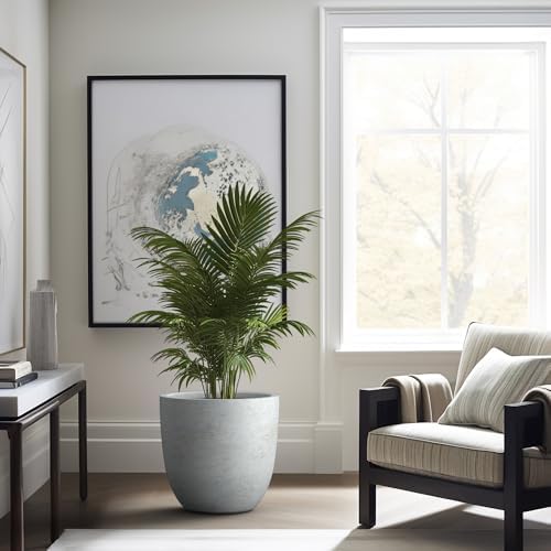 Kante Large Round Bowl Pale Gray Concrete Planter 18" Dia, Outdoor - Image 4
