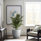 Kante Large Round Bowl Pale Gray Concrete Planter 18" Dia, Outdoor - Image 4
