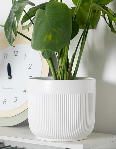 Ceramic 5.2+6.5 inch Planters, Modern Home and Office Flowerpot, Indoor and Outdoor Flowerpot with Drainage Hole (White) - Image 4