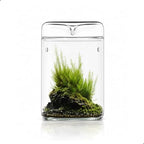 Bioloark Glass Plant Terrarium MY-120H, 4.7" x 7" Small Desktop Moss Terrarium with Dew-Collecting Lid, Ventilation Holes, High-Clarity Glass Jar for Ferns, Small Plants & Office Décor by Unknown