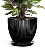 6 Inch Ceramic Planter, Indoor Plant Pots with Saucer, Black by Unknown