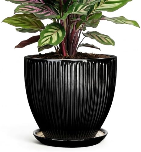 6 Inch Ceramic Planter, Indoor Plant Pots with Saucer, Black by Unknown
