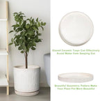 Eightpot Plant Drip Tray - Ceramic Plant Saucer for Outdoors 9.3 Inch Plant Tray for Indoors No Holes Plant Pot Saucer Plant Dishes to Catch Water Round Plant Drainage Trays, Cream White - Image 5