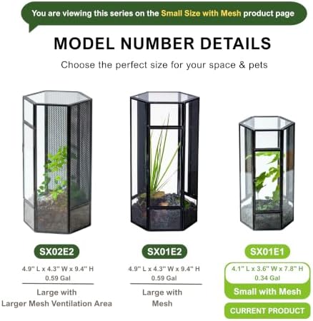 NCYP Glass Enclosure Terrarium with Mesh and Door for Small Spiders - Hexagon Shape, Small Mantis Vented Glass Terrarium 4.1'' x 3.6'' x 7.8'', Tabletop Decor, Black (Plants Not Include) - Image 5