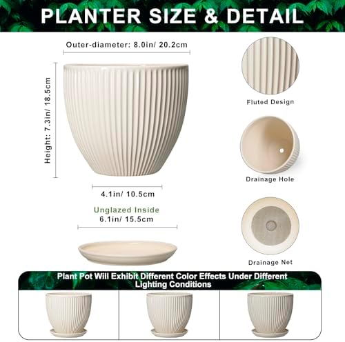 Ceramic Flower Pots, 8 Inch Plant Pot with Saucer, Cream White - Image 2
