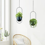 Modern Metal Hanging Planters with 6 Inch Pots and Sturdy Rods - Set of 2 Oval Geometric Plant Hangers - Black Wall and Ceiling Mount Flower Holders for Indoor and Houseplants - Image 3