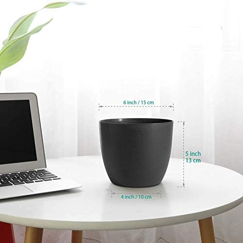 T4U Self Watering Planters Plastic 6 Inch Black Set of 10, Plant Flower Pot Modern Decorative Seeding Nursery Pots Outdoor Indoor Garden for All House Plants Flowers Herbs African Violets - Image 5
