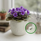 HERDUK 6.5” Ceramic Self Watering African Violet Planter with Embossed Floral Design – Durable Indoor Plant Pot for Orchids, Succulents, and Houseplants by Herduk