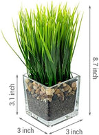 MyGift Set of 2 Artificial Grass Plants in Square Glass Pots with Pebbles - Image 5