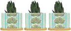 Chinoiserie French Cairo Planters Ceramic Green and Blue Peacock Feathers Round Flower Pots with Drainage Holes and Bamboo Tray Pot for Succulents Cactus Garden Windowsill by BRUYU5SE