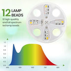The Bundle of Bonviee 5 Packs Seed Starter Tray with Grow Light and 10 Packs Seed Starter Kit - Image 7