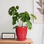 Ceramic Pot for Plants - 8 Inch Plant Pot for Indoor Plants Outdoor Round Planter Modern Flower Pot with Drainage Hole and Saucer Home Garden Office Porch Decor Red - Image 2
