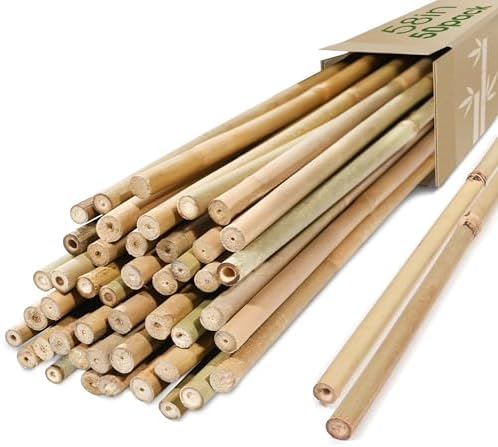 Cambaverd Bamboo Stakes for Plants, 50 Pack Garden Stakes 5 Feet(58in) by Cambaverd