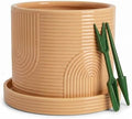 6 Inch Ceramic Plant Pot with Drainage Hole & Tray – Buttercream by %C3%88MJ%C3%89LUXE
