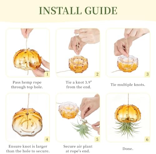 Glasseam Fall Glass Jellyfish Decor, 3Pcs Hanging Air Plant Holders - Image 5