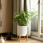 HERDUK 8 Inch Ceramic Planter with Natural Wood Stand w/Drainage & Saucer - Modern Indoor Planter for Cacti, Snake Plants & Aloe Vera - Image 7