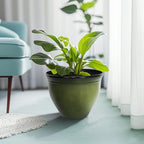 Worth Garden 12-Inch Dia. Round Green Plastic Planters with Drain Holes, 9.5-Inch Height - 4-Pack Glossy Finish Bell-Shaped Plant Pot – Lightweight Indoor/Outdoor Flower Pots - Image 4
