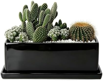 12 Inch Rectangular Ceramic Plant Pot, Window Box, Glazed Black by Unknown