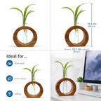 Wooden Glass Test Tube Plant Propagation Station with Wood Stand, Modern Hydroponic Flower Vase for Indoor Plants, Home Office & Desktop Decor, 1 Tube, 17 x 12.5 cm - Image 2