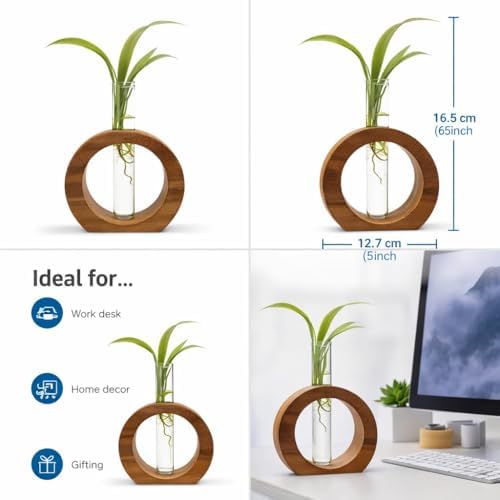 Wooden Glass Test Tube Plant Propagation Station with Wood Stand, Modern Hydroponic Flower Vase for Indoor Plants, Home Office & Desktop Decor, 1 Tube, 17 x 12.5 cm - Image 2