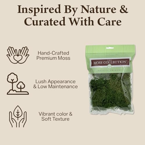 Sheet Moss, Preserved Moss, Green, Medium 2-Pack - Image 3