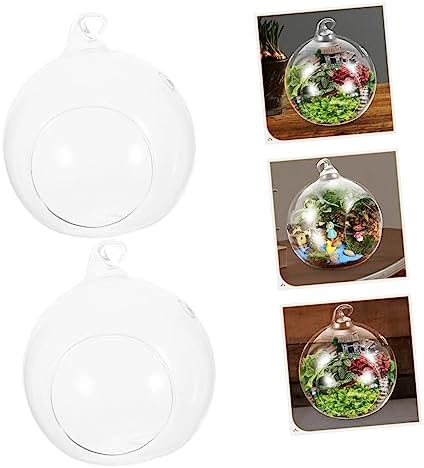 2pcs Glass Globe Hanging Terrarium Vase for Plants - Image 6