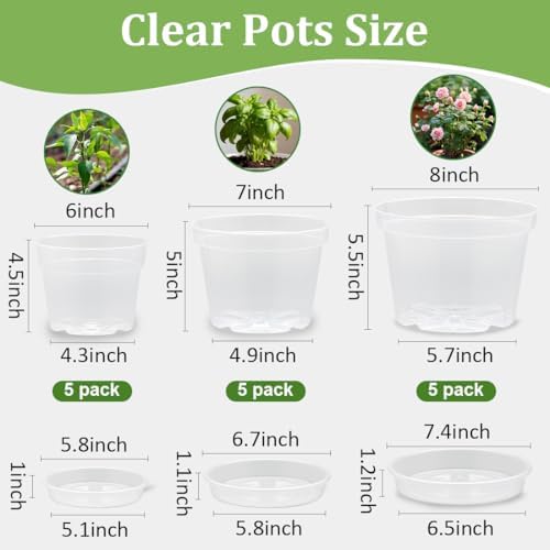 RooTrimmer 15 Pack 8/7/6 Inch Clear Nursery Pots with Saucer, Transparent Plastic Plant Pot with Drainage Hole, Sturdy Planting Starter Pots for Gardening Flower Herb Vegetable - Image 2