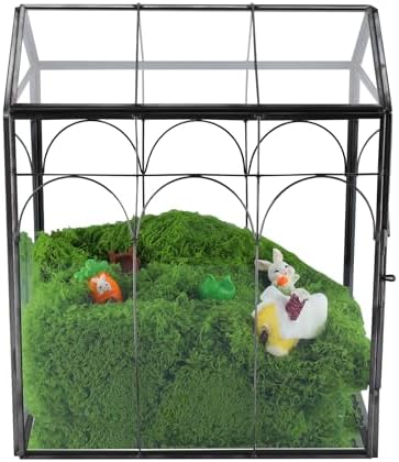 HighFree Geometric Plant Terrarium with Lid (Black with Side Door) - Image 3