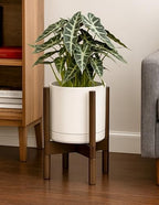 D'vine Dev Ceramic Pot with Walnut Wood Stand, Oatmeal, 8 in, 55-B-Y-8 - Image 7