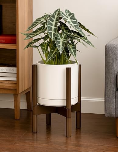 D'vine Dev Ceramic Pot with Walnut Wood Stand, Oatmeal, 8 in, 55-B-Y-8 - Image 7