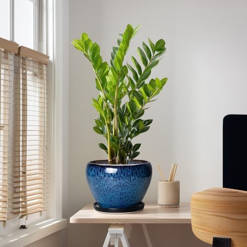 10 Inch Plant Pot, Ceramic Planter with Drainage and Saucer, Blue - Image 5