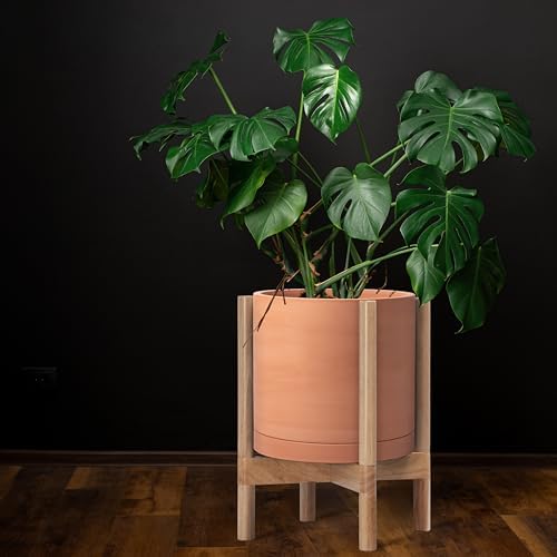 D'vine Dev Terracotta Pot with Natural Wood Stand, 12 in, 55-B-J-5 - Image 6