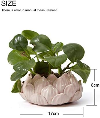 SEINHIJO Indoor Planter Succulent Cactus Pot Ceramic Storage Tray 7.1 Inch - Image 4
