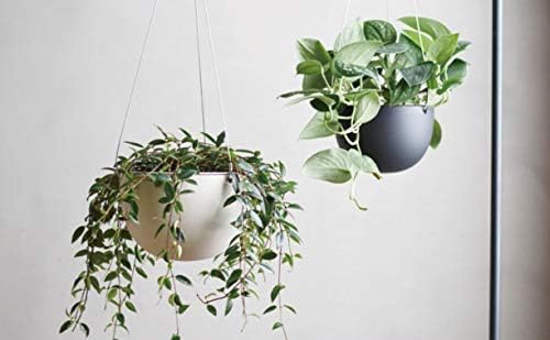 KINTO 29227 Plant Pot 201_ 5.5 inches (140 mm), Beige, Hanging Planter - Image 4