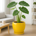 Deep Dream 10 Inch Plant Pot- Ceramic Planter Pot Round Plant Pots for Indoor Plants Outdoor Large Flower Pot with Drainage Holes & Trays, Yellow - Image 4