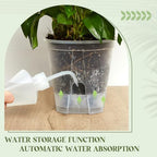 Wonderjune Self Watering Planter, 7.09'', Clear, 9 Pcs - Image 3