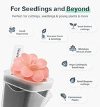 12 Pack 2" Small Clear Self Watering Pots with Humidity Dome for Indoor Plants, Seed Starter Cups, Tissue Culture Acclimation Kit,Alocasia Corm Propagation,African Violet,Cuttings,Seedlings - Image 3