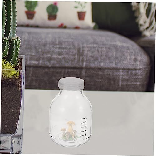 3pcs Glass Mushroom Growth Jar with Lid 650ml Xmas - Image 7