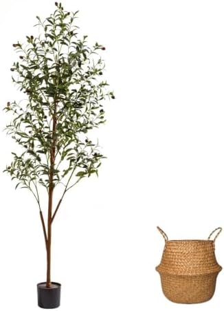 6Ft Artificial Olive Tree with Moss & Basket - Indoor Tall Faux Olive Tree in Planter, Large Fake Olive Silk Tree with Realistic Branches and Fruits for Home Decor, Office, Living Room by MovingSandArt